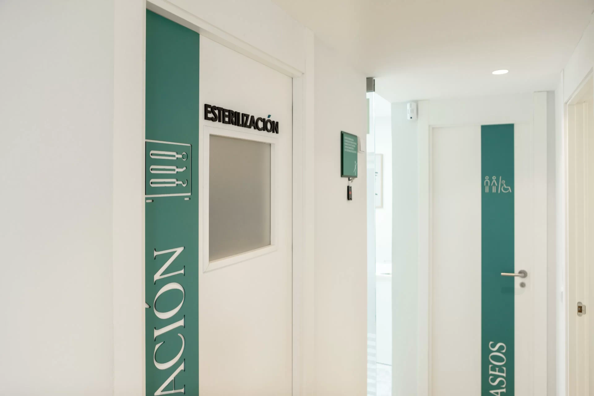 maexcristinaviyuelahortalezainstalaciones2