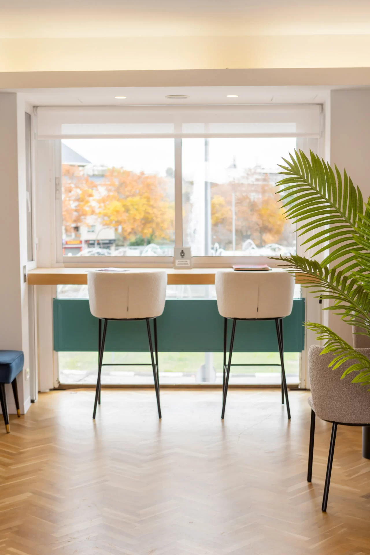 maexcristinaviyuelahortalezainstalaciones7